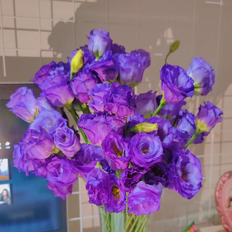 🔥Zadnji dan prodaje💝Eustoma Thornless Rose💐Semena Lisianthusa-SI
