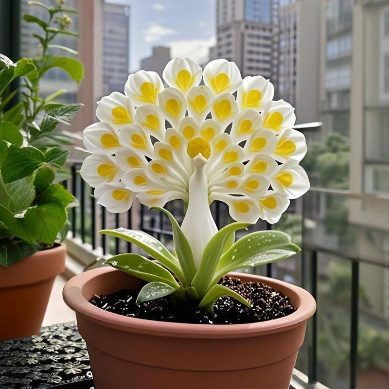 💠 “Η Βασίλισσα των Αρωματικών Ανθών — Βολβοί Ορχιδέας Παγώνι για Απόλυτη Πολυτέλεια Κήπου”-GR