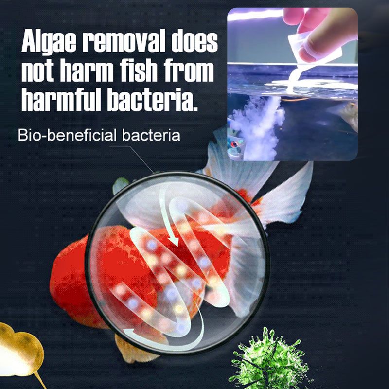 🌊Odstranjevalec alg za čiščenje vode iz akvarija🐟-SI