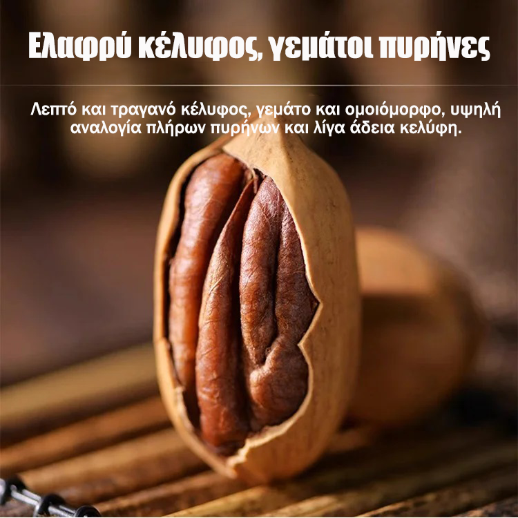 Pecani, sadike, uvožene iz Amerike-SL