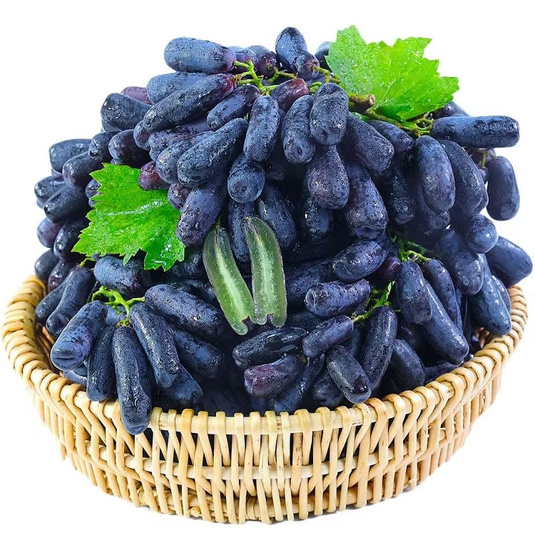 🔥 ZADNJI DAN PROMOCIJA 30% POPUSTA 💜 Sladko safirno grozdje (redke prstne sorte grozdja) 🍇-SI