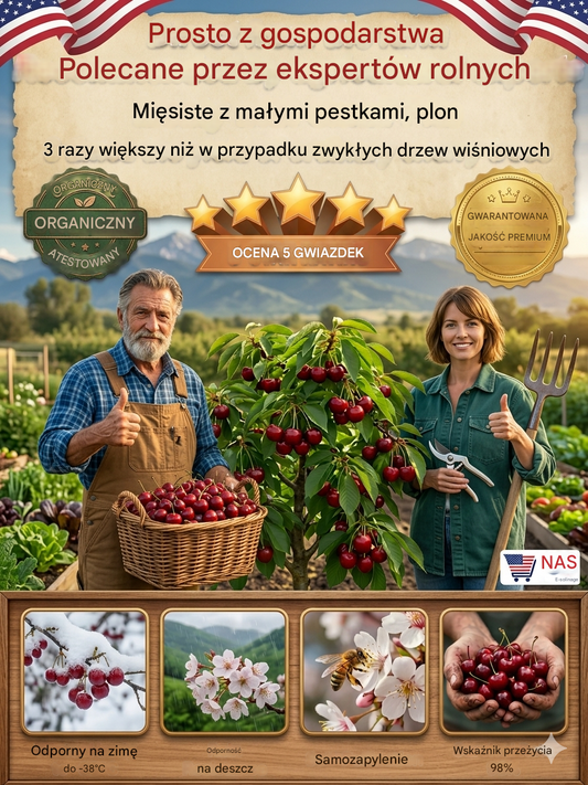 【Μόλις συγκομισμένα】 σπορόφυτα νάνων κερασιών-ES