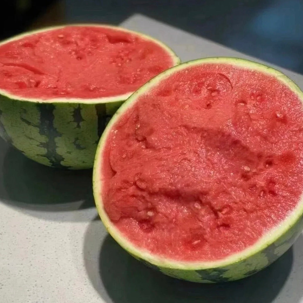 Tanko lupinasta semena lubenice 🍉-SI
