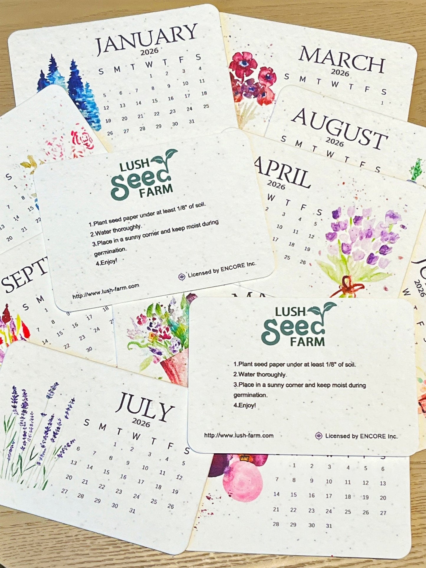 ✨Novi izdelki s 49 % popustom danes🌱Okolju prijazna semena Love Seeds Koledar sajenja za leto 2026-SI