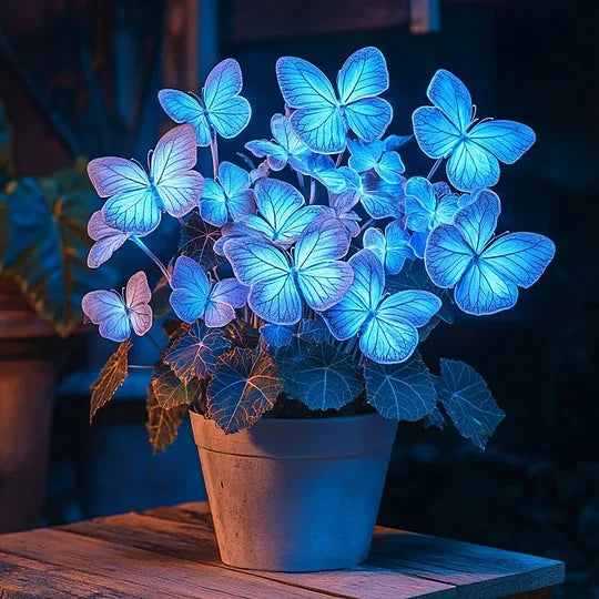💥 Νέες μπιγκόνιες 🦋 Σπόροι μπιγκόνιας πεταλούδας 🌱 Μπονσάι που δεν έχετε ξαναδεί-EL