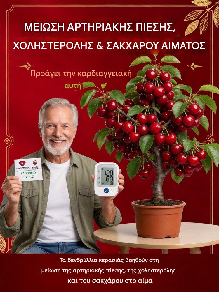 【Σύντομα】Νάνοι δενδρύλλια κερασιάς-GR