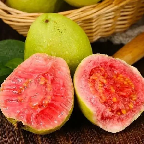 🔥Ekologiškos rožinės gvajavos sėklos | 🌿Paruoštos greitam dygimui (99 % daigumas)-LT