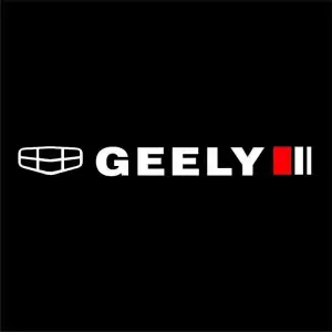 NAUJAUSIAS PASIŪLYMAS 🎉50% NUOLAIDA🎉Kūrybingas automobilio valytuvų lipdukas🎉4 DALYS🎉-LT