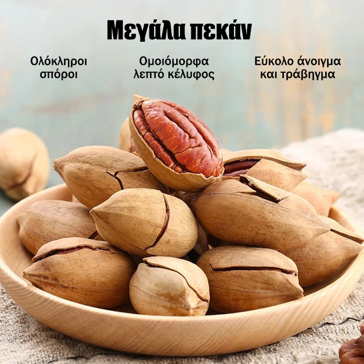 Pecani, sadike, uvožene iz Amerike-SL
