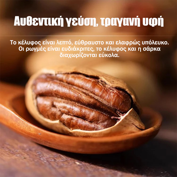Pecani, sadike, uvožene iz Amerike-SL