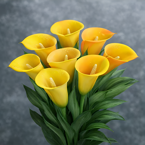 🌷Skrivnostna aurora kala-SI