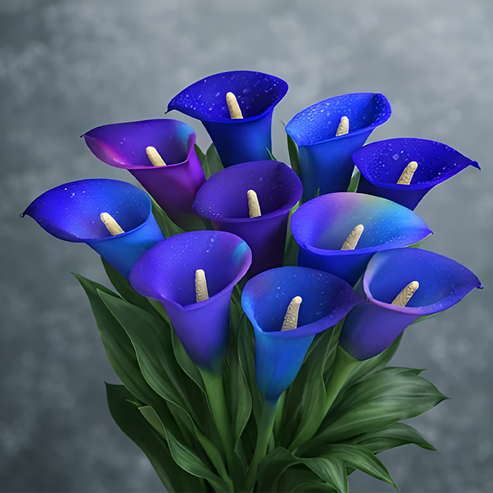 🌷Paslaptingoji pašvaistė kalija-LT