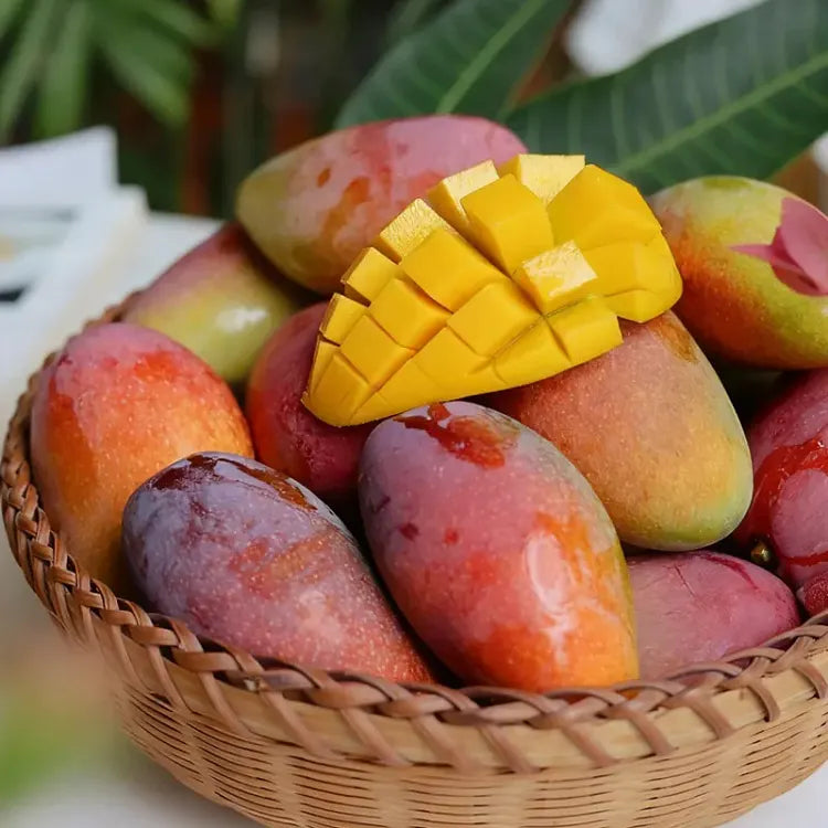 🥭 Žametne, sladke in sočne sadike manga – začutite okus tropov v svojem domu 🌴-SI