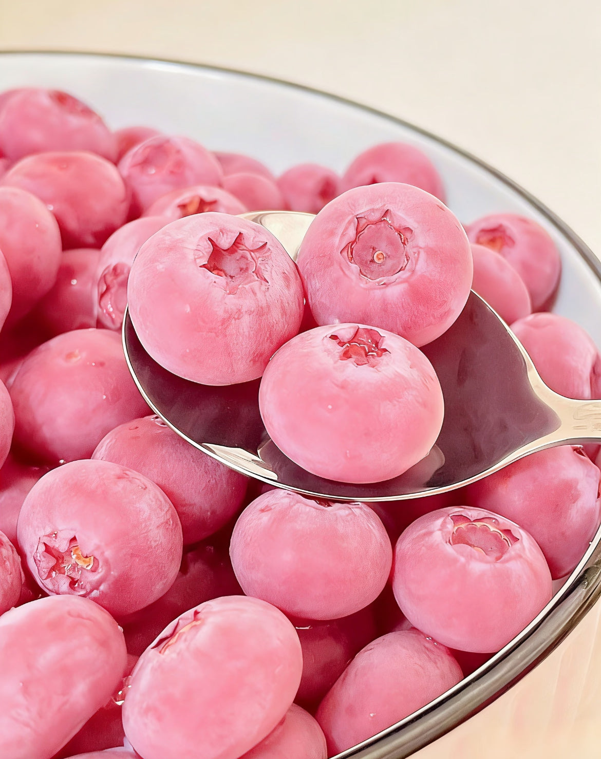 Semena borovnic Pink Bliss – dvojna sladkost-SI