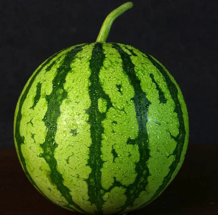 🍉Κόκκινο Νεφρίτη της Πρώιμης Άνοιξης – ένα γλυκό καρπούζι που θα ενθουσιάσει όλη την οικογένεια-GR