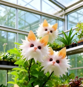 Μαγικά φυτά! Η εκθαμβωτική σειρά "Cat's Eye"✨-GR