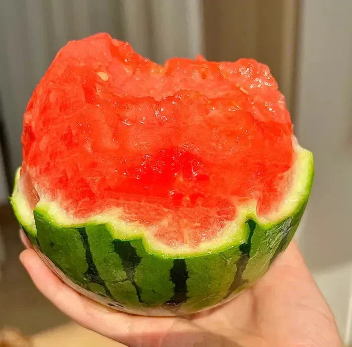 🍉Κόκκινο Νεφρίτη της Πρώιμης Άνοιξης – ένα γλυκό καρπούζι που θα ενθουσιάσει όλη την οικογένεια-GR