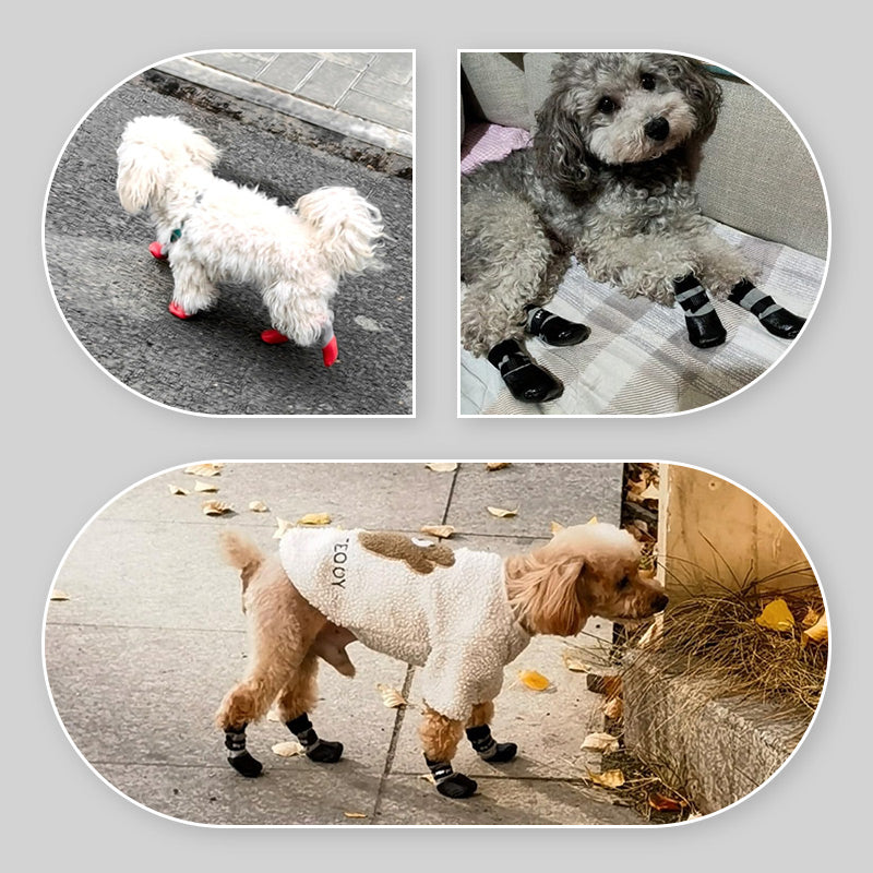 🐶2 ζευγάρια αντιολισθητικές αδιάβροχες κάλτσες για σκύλους-GR