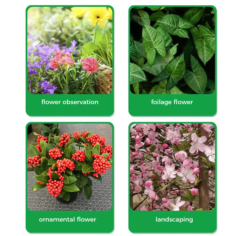 🌱Žydėjimą skatinantys milteliai | Greitesnis šaknų augimas + didesni žiedai!🌸-LT