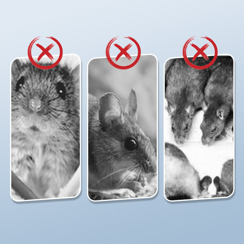 Επαναχρησιμοποιούμενη παγίδα για ποντίκια με μηχανισμό σκανδάλης υψηλής ευαισθησίας-GR