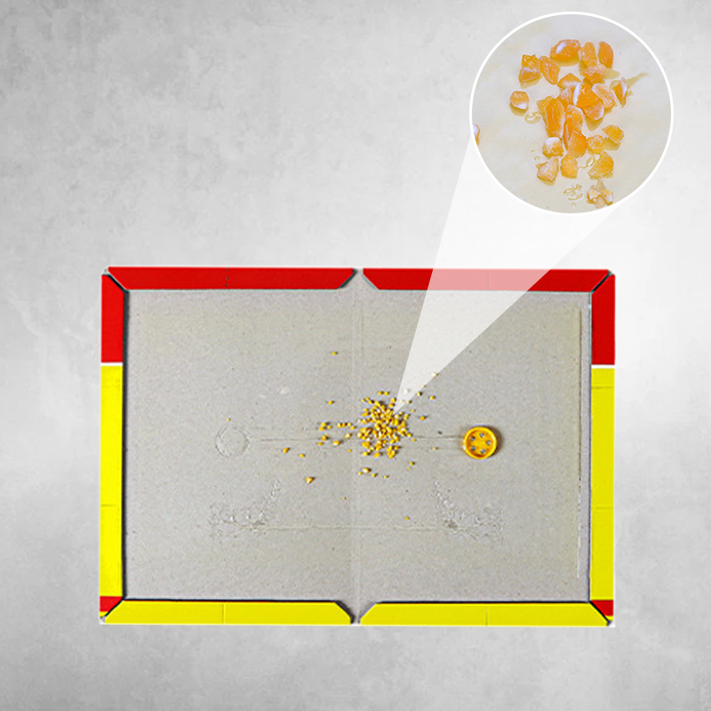 Εξαιρετικά μεγάλες παγίδες κόλλας για αρουραίους-GR