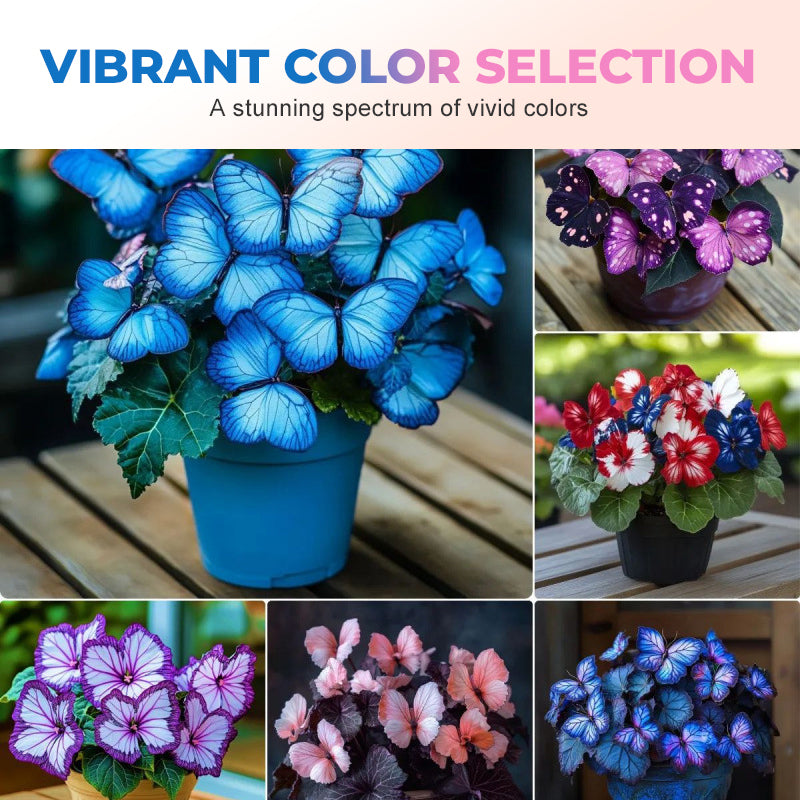 Fancy Butterfly-shaped flower seeds-SL