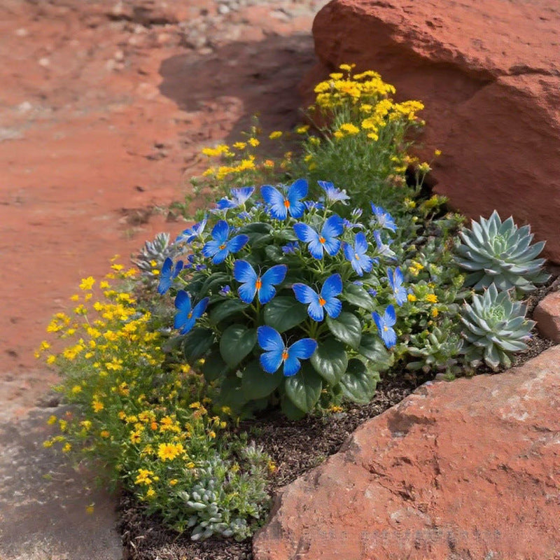 Fancy Butterfly-shaped flower seeds-SL