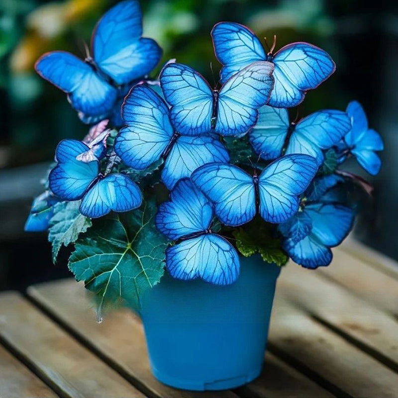 Fancy Butterfly-shaped flower seeds-SL