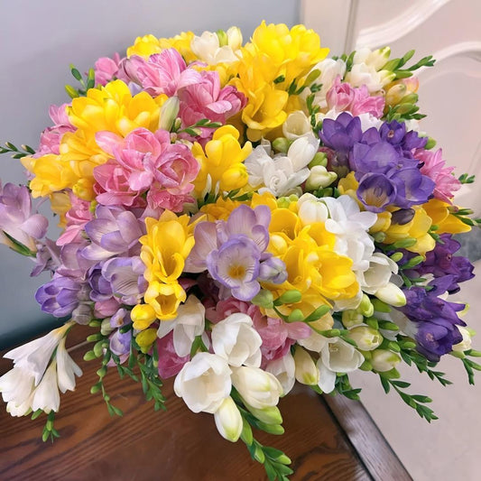 🌷Βολβοί φρέζιας - ένα παγκοσμίως γνωστό άρωμα-GR